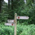 0708schotlanddoede173