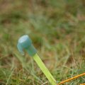 0708schotlanddoede197