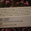 0708schotlanddoede254