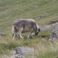 0708schotlandetienne143
