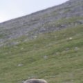 0708schotlandetienne144