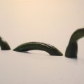 0708schotlandirene3