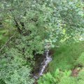 0708schotlandirene62