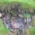 0708schotlandirene69