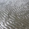 0708schotlandirene88