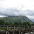 0708schotlandotto12