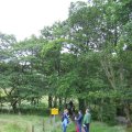 0708schotlandotto16