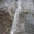 0708schotlandotto44