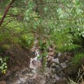 0708schotlandotto50