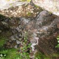 0708schotlandotto51
