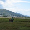 0708schotlandotto7