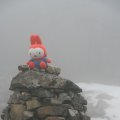 0708schotlandronald106