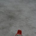 0708schotlandronald110