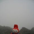 0708schotlandronald117