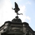 0708schotlandronald13