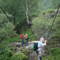 0708schotlandronald167
