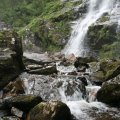 0708schotlandronald170