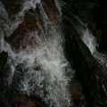 0708schotlandronald172