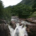0708schotlandronald174