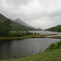 0708schotlandronald180