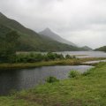 0708schotlandronald181