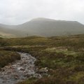 0708schotlandronald185