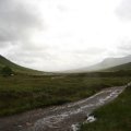 0708schotlandronald204