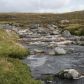 0708schotlandronald207