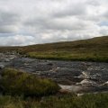 0708schotlandronald210