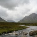 0708schotlandronald213