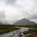 0708schotlandronald220