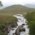 0708schotlandronald224