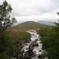 0708schotlandronald225