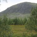 0708schotlandronald227