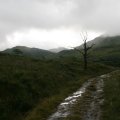 0708schotlandronald248