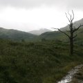 0708schotlandronald249