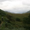 0708schotlandronald250