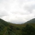 0708schotlandronald253