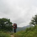 0708schotlandronald258