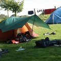 0708schotlandronald274
