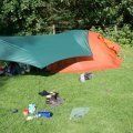 0708schotlandronald284