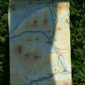 0708schotlandronald285