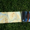 0708schotlandronald286