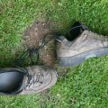 0708schotlandronald292