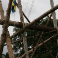 0708schotlandronald44