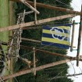 0708schotlandronald45