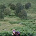 0708schotlandronald68