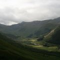 0708schotlandronald76
