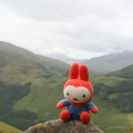 0708schotlandronald80