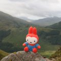 0708schotlandronald81